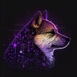 Shiba Nodes Chinese🇨🇳
