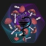 ✨ Bio-Essentia 🍄🌿