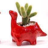 Savanna_ceramics