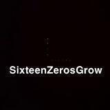 Sixteen Zeros Grow