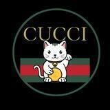 Cucci Portal