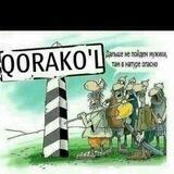 Қораколликлар_24 | Расмий канал🇺🇿
