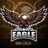 GSM Calls