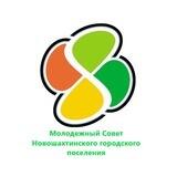 Молодёжный Совет Новошахтинского городского поселения