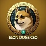 Elon Doge CEO - Portal