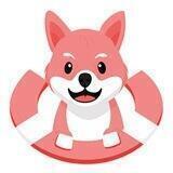 Bella Inu - Presale Live 🟢🚀🚀