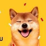 Shiba Inu Lovers
