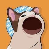 POPCat Token Official