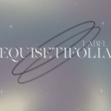 𝓔𝘲𝘶𝘪𝘴𝘦𝘵𝘪𝘧𝘰𝘭𝘪𝘢 𝓛𝘢𝘣𝘦𝘭