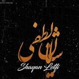 Shayan lotfi