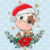 BullMas