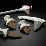 Archaeology Expedition