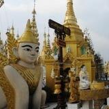 🇲🇲缅甸新闻