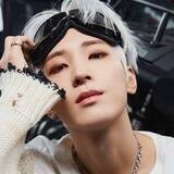 Jeon Wonwoo, SVT