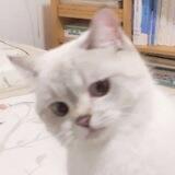Neko php rombak alias rest lg