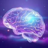 200 IQ Факты и не только