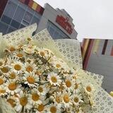 МБОУ СОШ 31 со спортивным уклоном