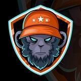 Blokdrops Announcement 🦧