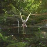 Forest fairy༆