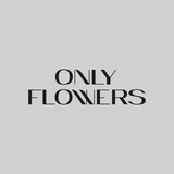 Цветочная студия «Only flowers»