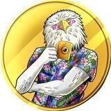 Birdman Fashion Announcement🐧