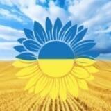 Support Niko - fundraising for Ukrainian city Mykolaiv