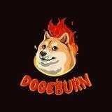 DogeBurn