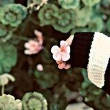 ward_❤️_