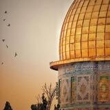 موطني 🇵🇸