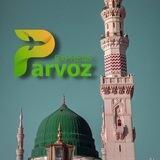 Parvoz