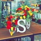 لـ سلام اقتباسات ، رسائل حب 💛