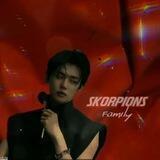 ＳＫＯＲＰＩＯＮ