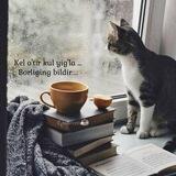 "ILK BORA"