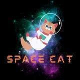 Space Cat Portal