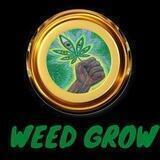 WEED GROW