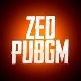 ZED PUBG
