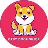 Baby Doge Shiba Portal