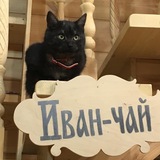 Мир моими глазами