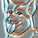 FURRY