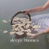slᴇᴇᴩy ʙunniᴇs(анкеты)