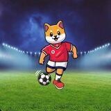 Soca-Inu x1000 Chinese 🇨🇳🎁⚽️⚽️