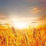 Минсельхозпрод Московской области