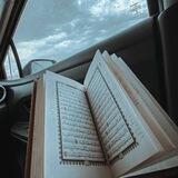 تذكير 🌱