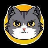 Cats中文社区🇨🇳