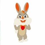 🌎WildHareFinance