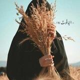 - اليَاقُـوتٌ ١٧ .