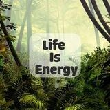 🫀Life is Energy🍃