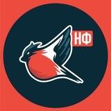 Молодёжка Народного Фронта - Донецкая Народная Республика