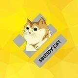 $BUSDY CAT