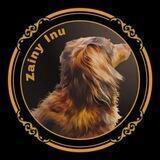 Zainy Inu Portal